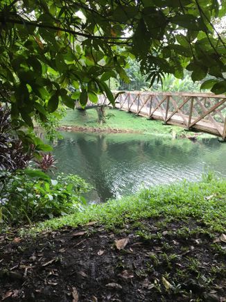 
Scene from the forest section