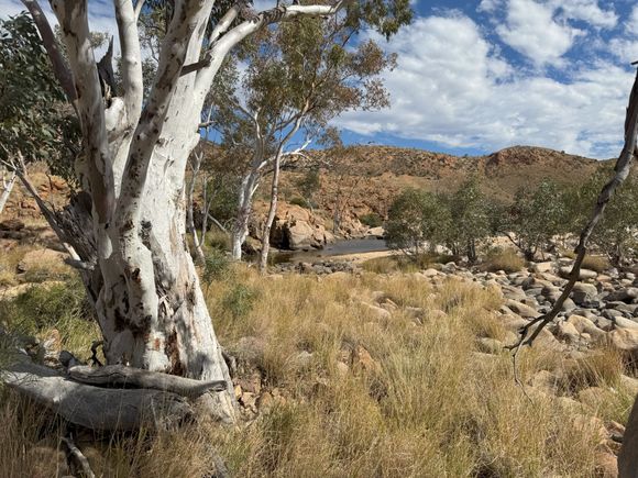 Approaching the creek