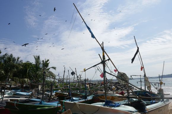 Fishing boats