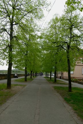 Outside of town