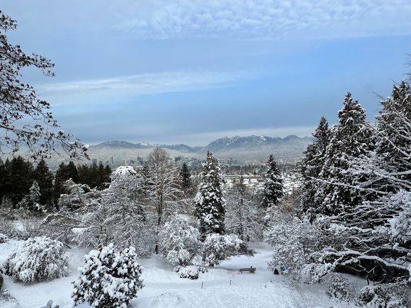 View from Seasons in th epark