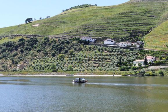 The Douro near Folgosa, Portugal