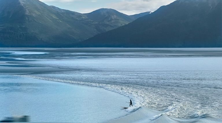This was taken from the moving car after leaving Bird Point and heading back to Girdwood. You catch up to the tide and can get up to several other pullouts to watch it some more.