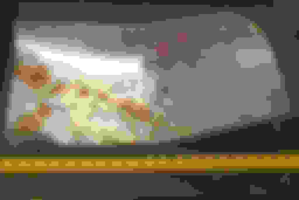 Undercarpet heat shield? Ford Truck Enthusiasts Forums