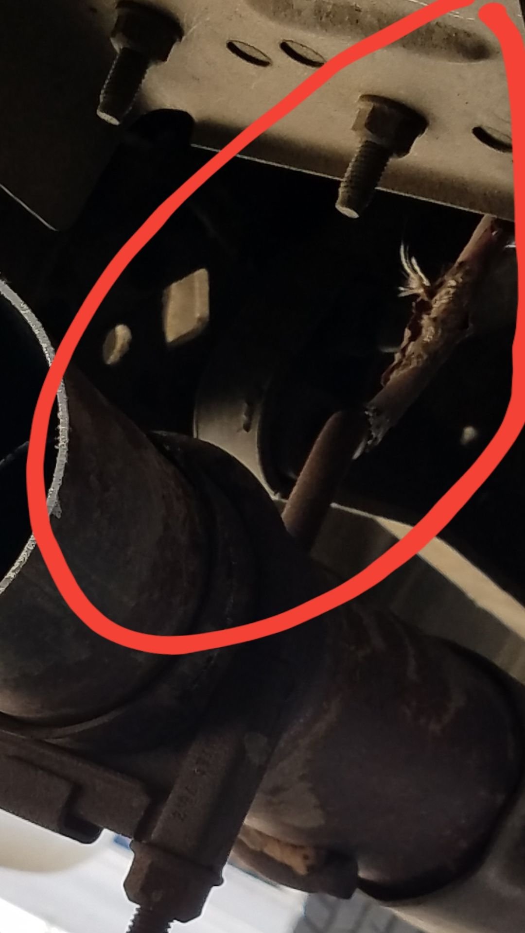 99 V10 catalytic converter delete.. Ford Truck Enthusiasts Forums