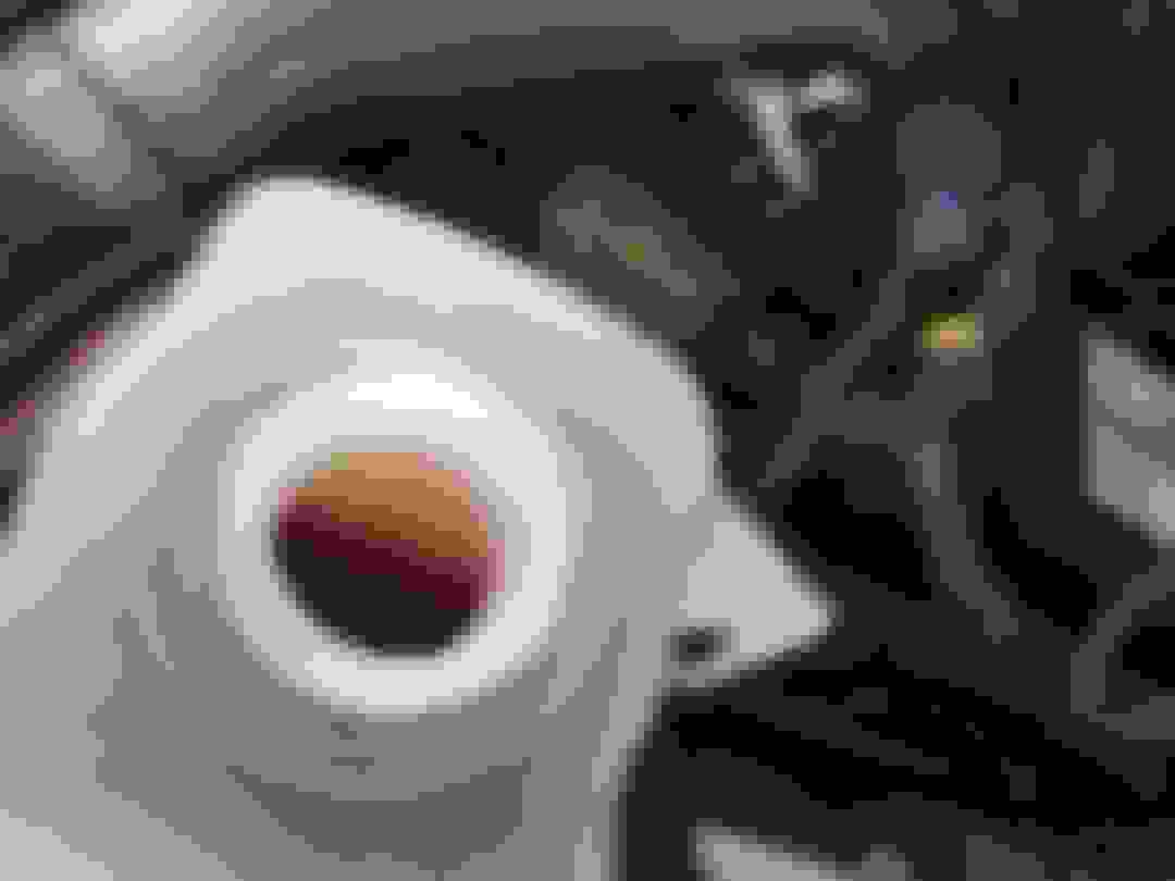 Coolant Additive Test Strips Ford Truck Enthusiasts Forums