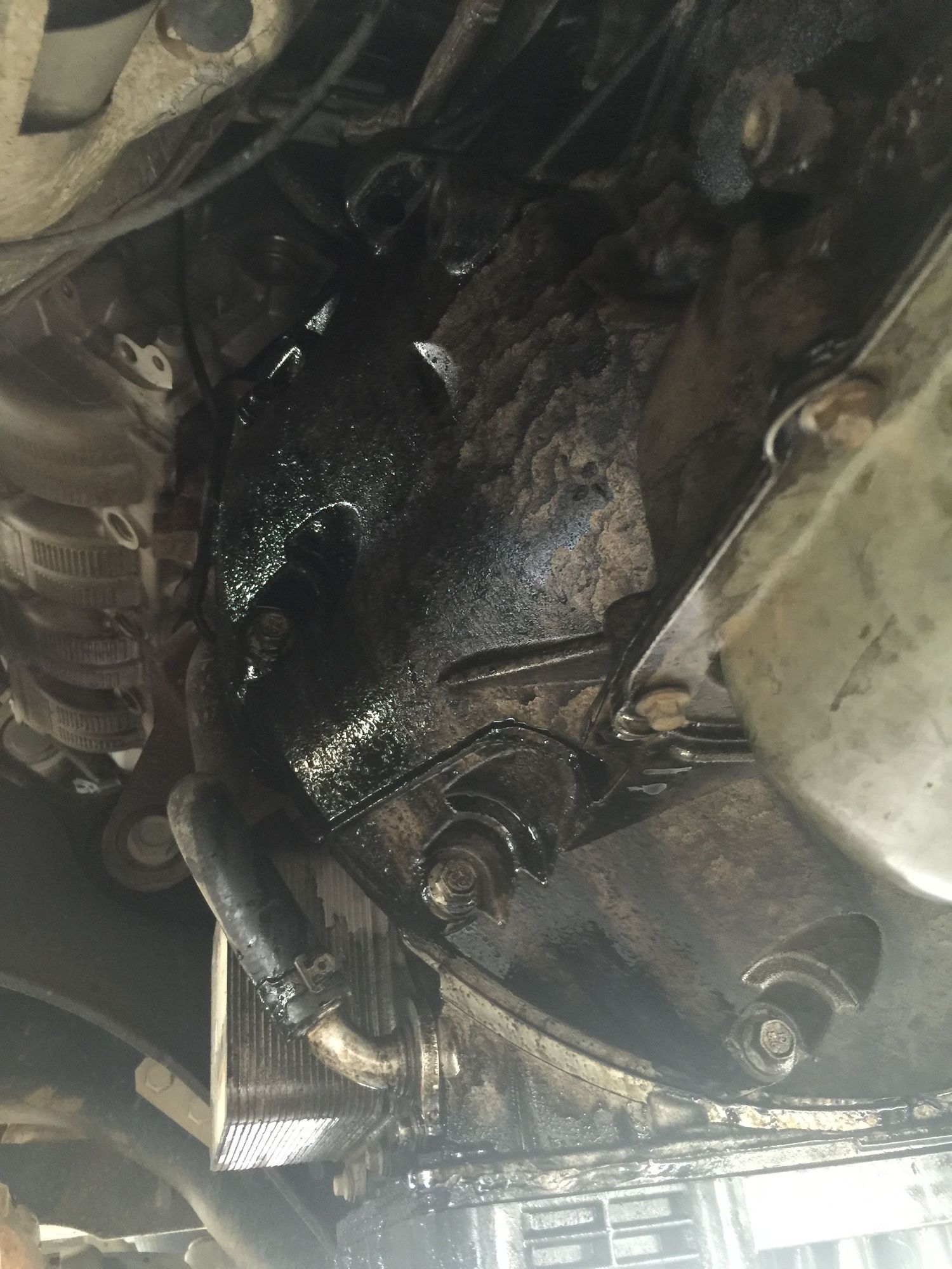 11' F350 oil leak - Ford Truck Enthusiasts Forums