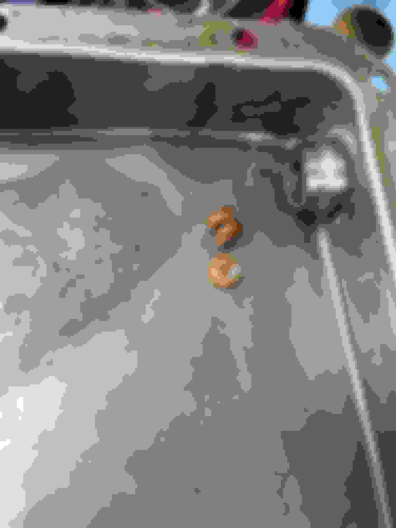 Help! C4 Transmission Pan Ford Truck Enthusiasts Forums