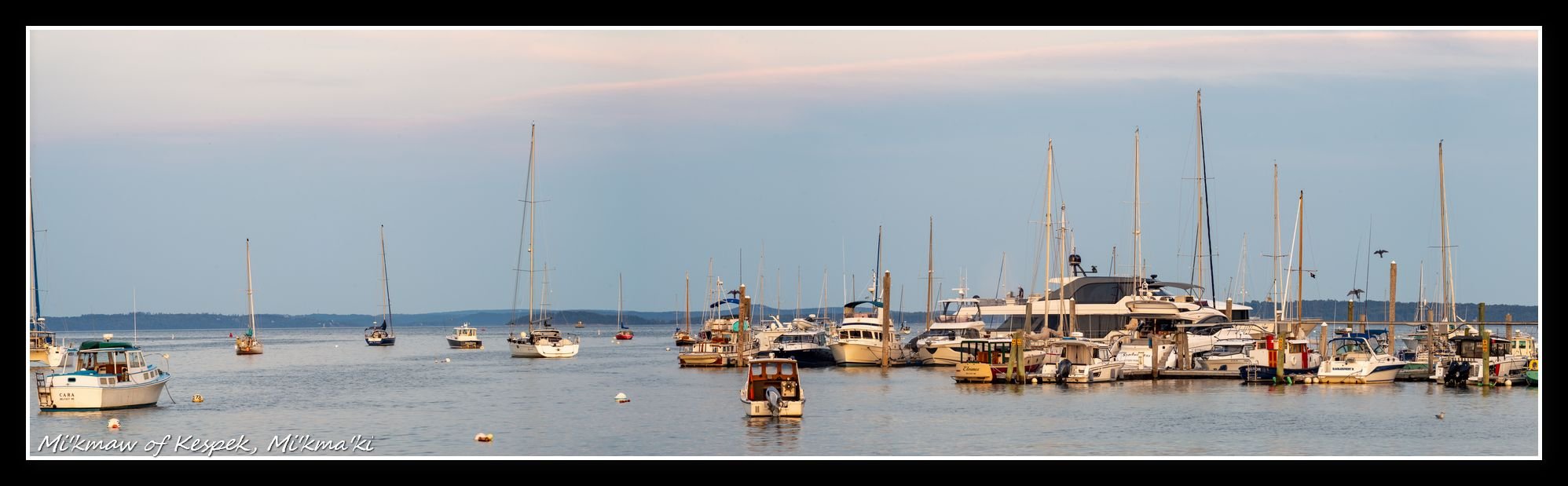 Tamron 200mm F3.5 BBAR Multi C Close Focus Adaptall-2 - 1979 Vintage lens - Panorama left side.