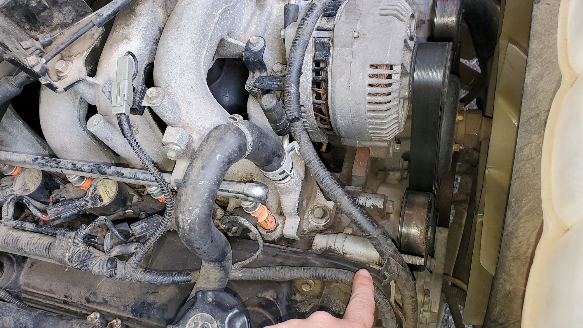 2000 f250 cranks but wont start Ford Truck Enthusiasts Forums