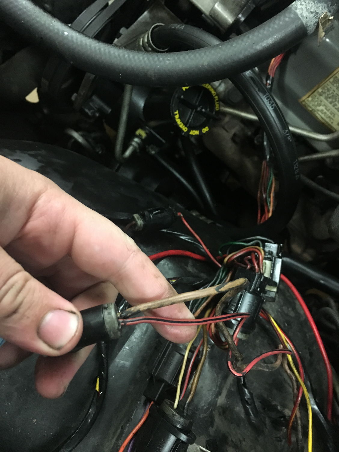 Fuel pump relay question 1986 - Ford Truck Enthusiasts Forums