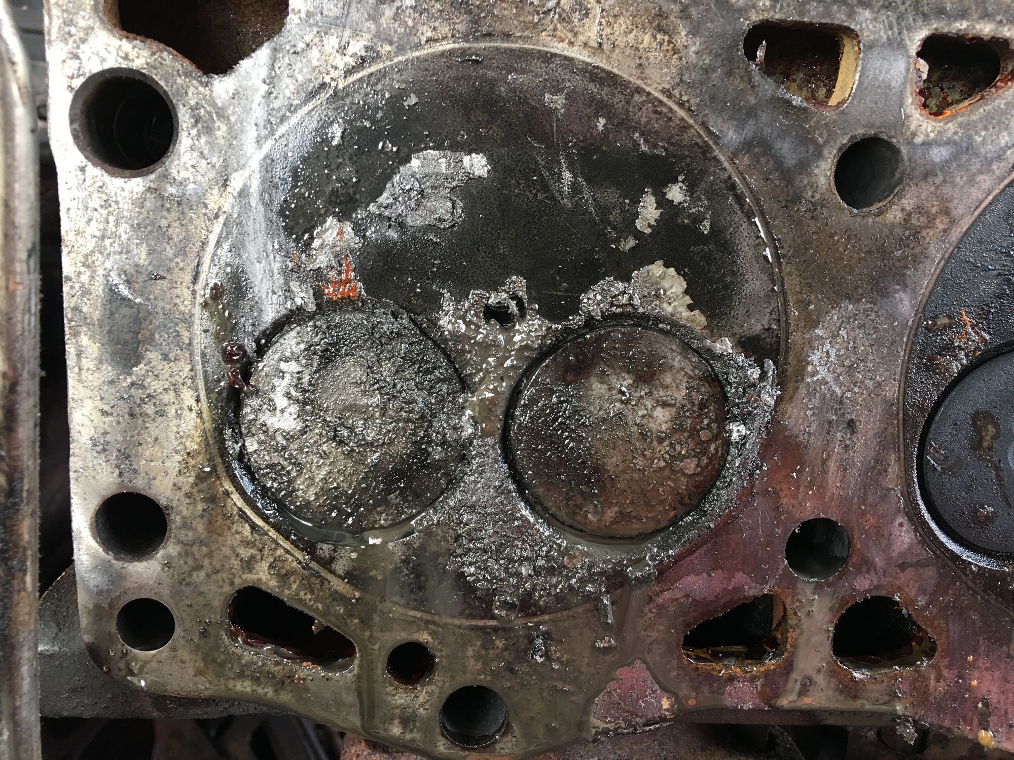 Massive amounts of water in oil cracked head? Cups? Oil cooler? Front