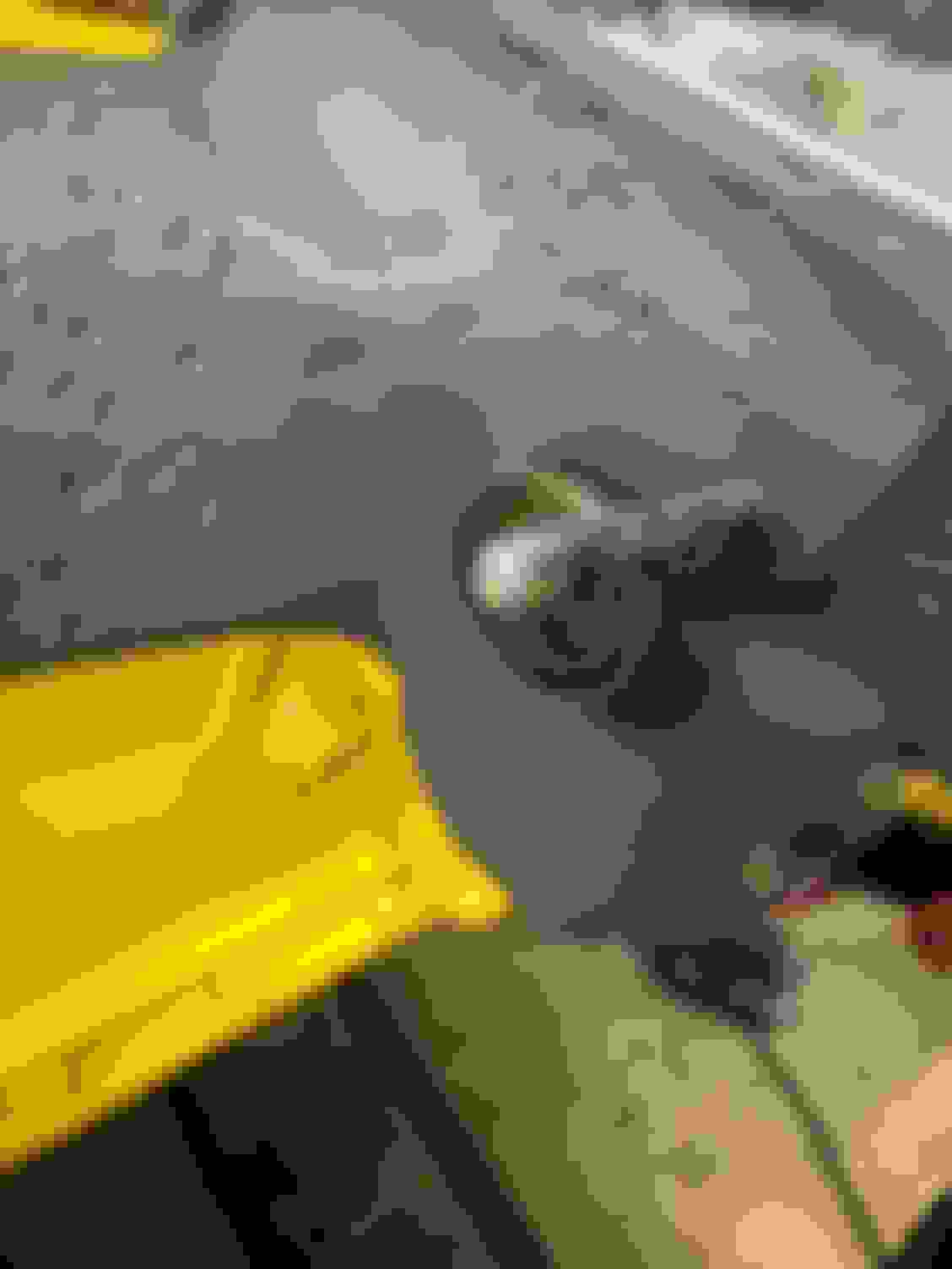 Exhaust Heat Riser Spring - Ford Truck Enthusiasts Forums