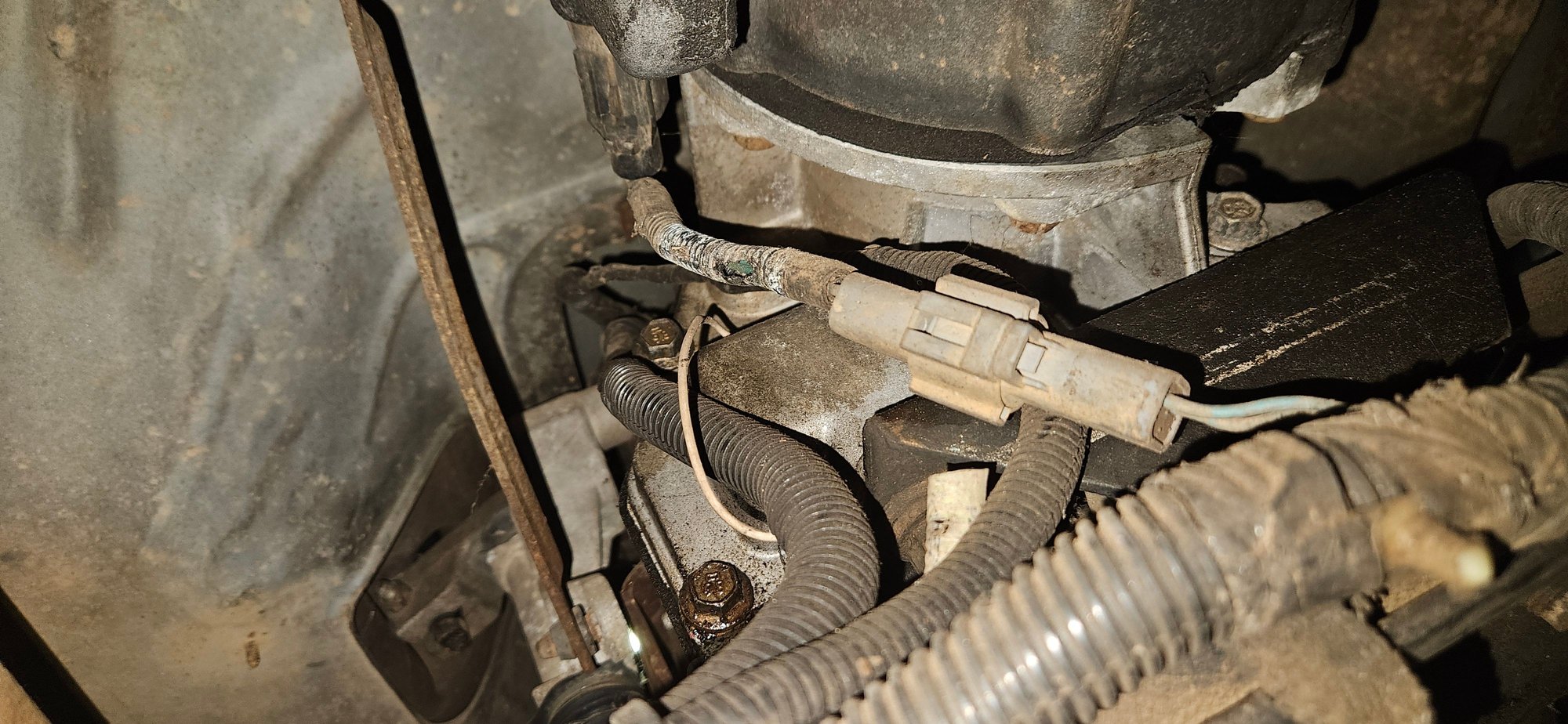 one plug in to the trans