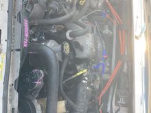My Post Pictures