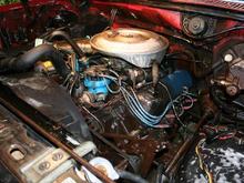 351M I believe. Hate the smog pump and everything that goes with it. I would tear it all out if I thought I could do it, but alas I am not that brave yet.