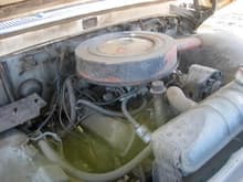 No it's not a Ford, it's a 1966 Oldsmobile 330 out of a Cutlass.  The engine is a high compression engine that put out 320HP. She's running a ST300 2 speed automatic transmission.  Needs some serious clean up.
