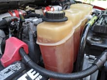 New ELC coolant....in hind sight i should have replaced the bottle also.