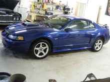 03 Mustang GT 5 Spd (for sale)