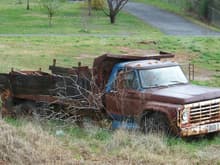Abandoned '73-'79 Ford Trucks 002- (Warning- Click at your own risk!)