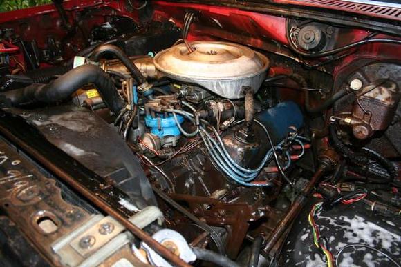 351M I believe. Hate the smog pump and everything that goes with it. I would tear it all out if I thought I could do it, but alas I am not that brave yet.