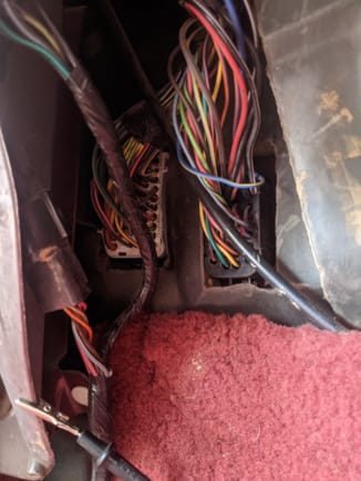 There's a single BR/W wire in the connector on the left. It has battery voltage with lights on. 