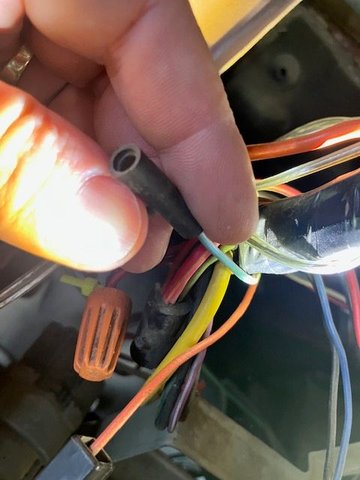 This one is blue with red stripe just like radio illumination.  It was unused.  I'm thinking maybe underdash lighting option?