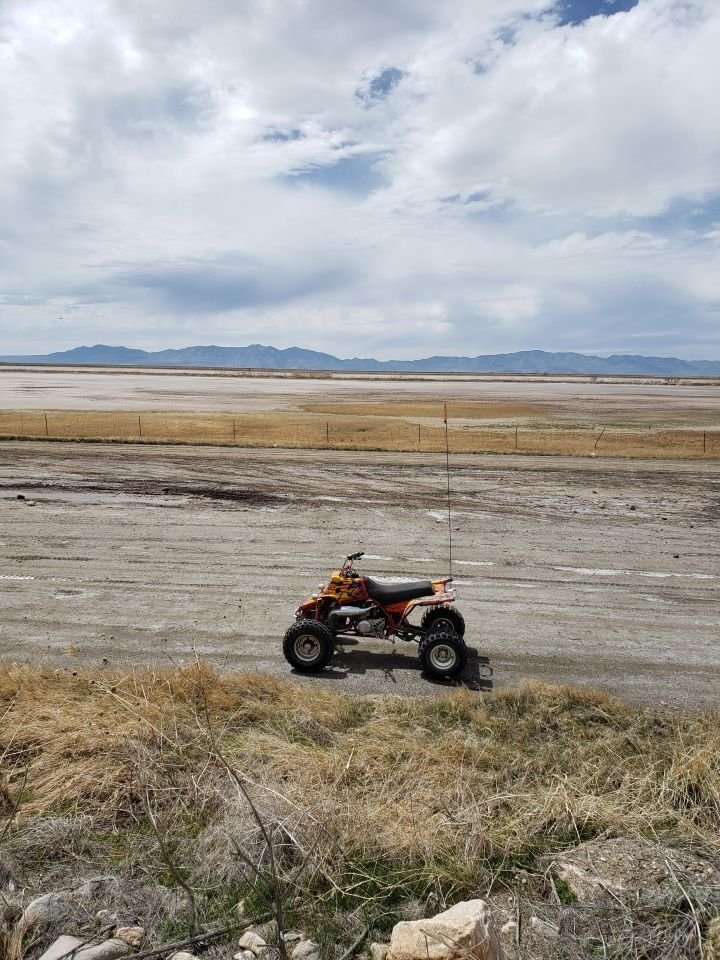 Near the shore of the Great Salt Lake at Willard Bay