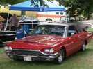 Garage - Tbird