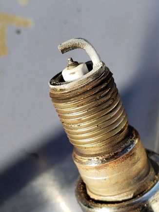 Rear plug 3.0L Vulcan 1997 Ford Taurus