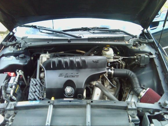 A closer pic. (Looks a lot better when it's clean)