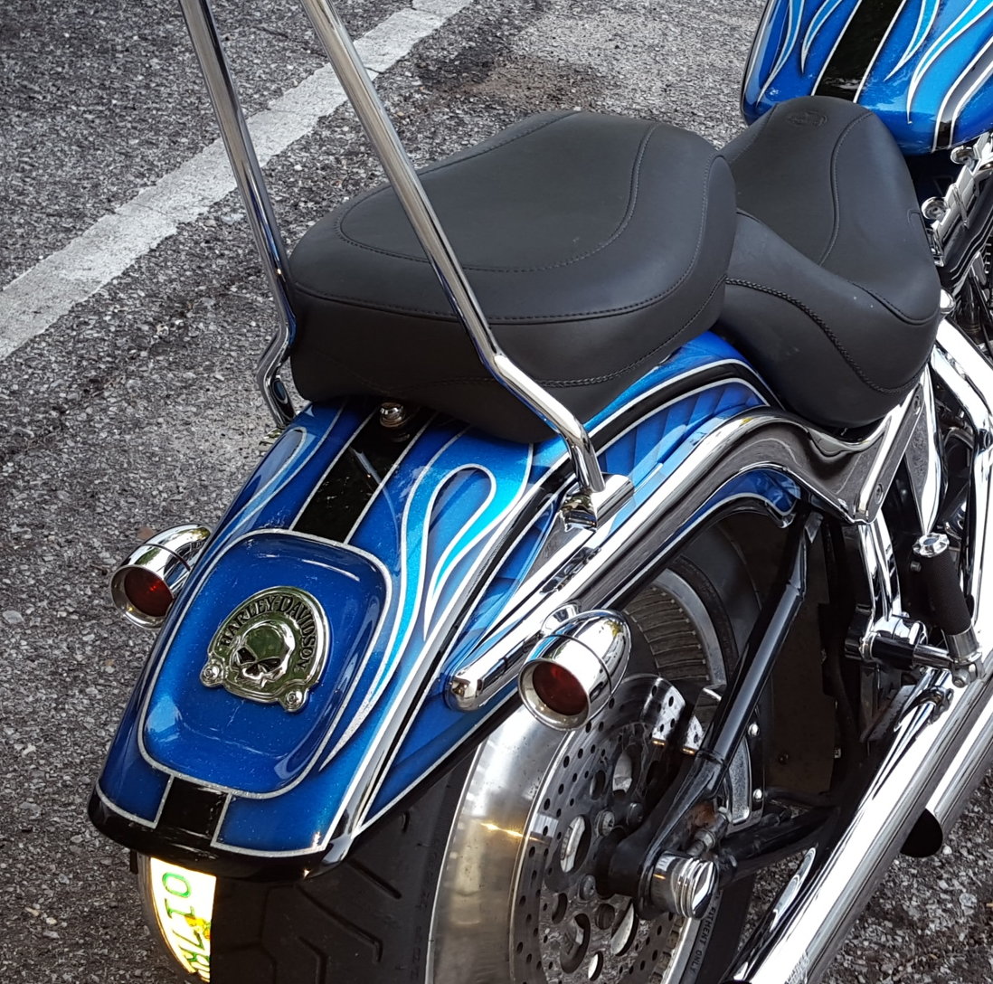 Softail deuce store sissy bar