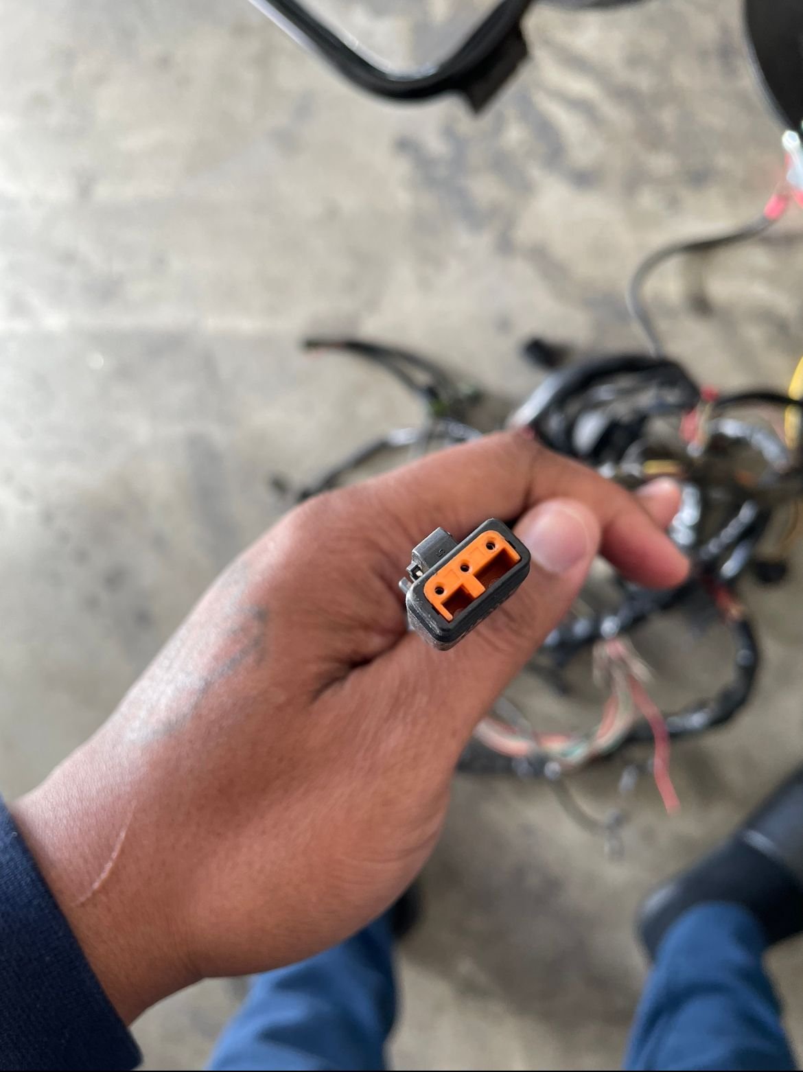 Main wire harness / fuel pump plug Harley Davidson Forums