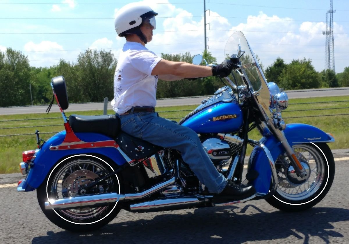 white softail slim