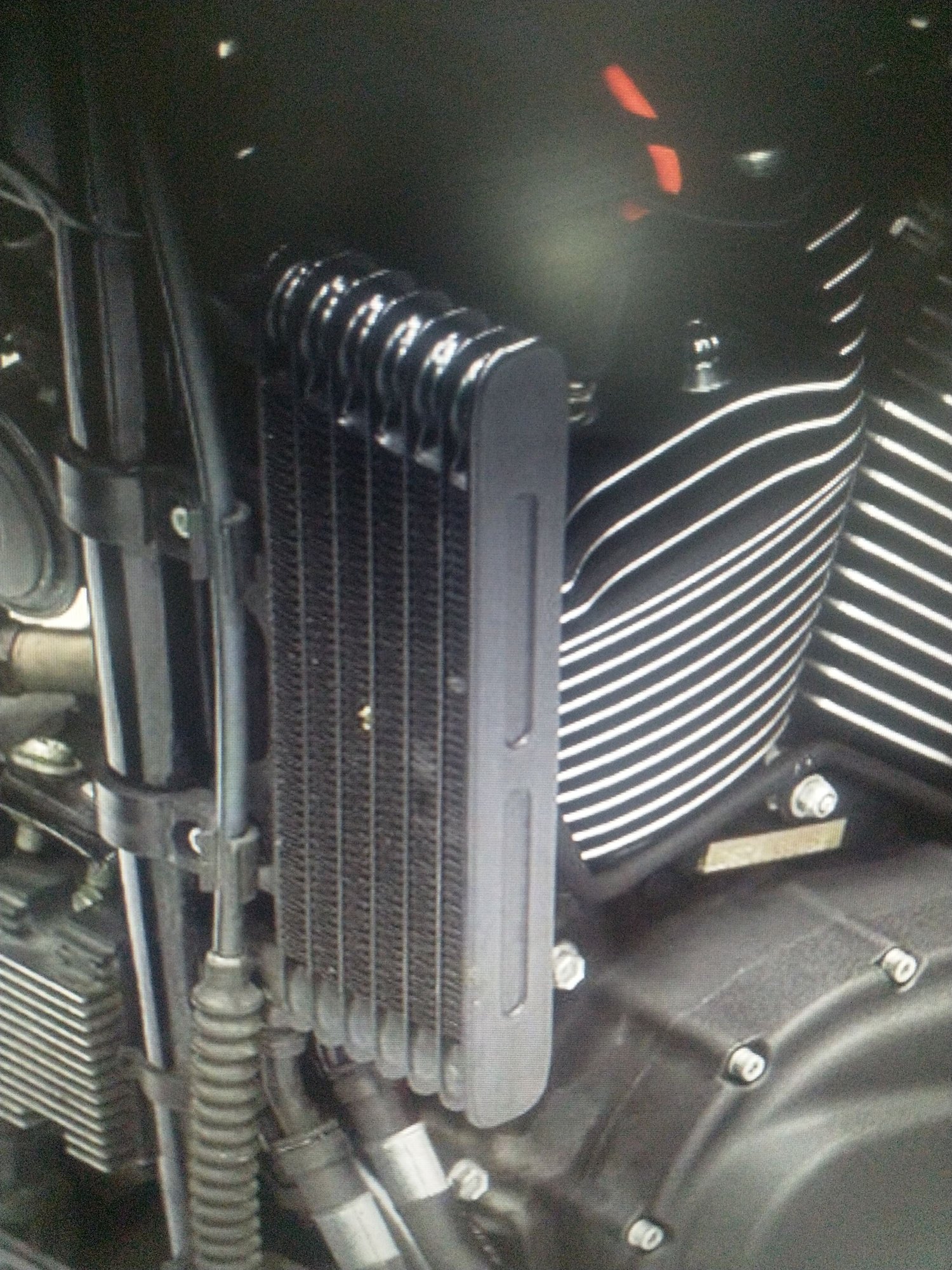 FXDF 2011 96ci oil cooler Harley Davidson Forums