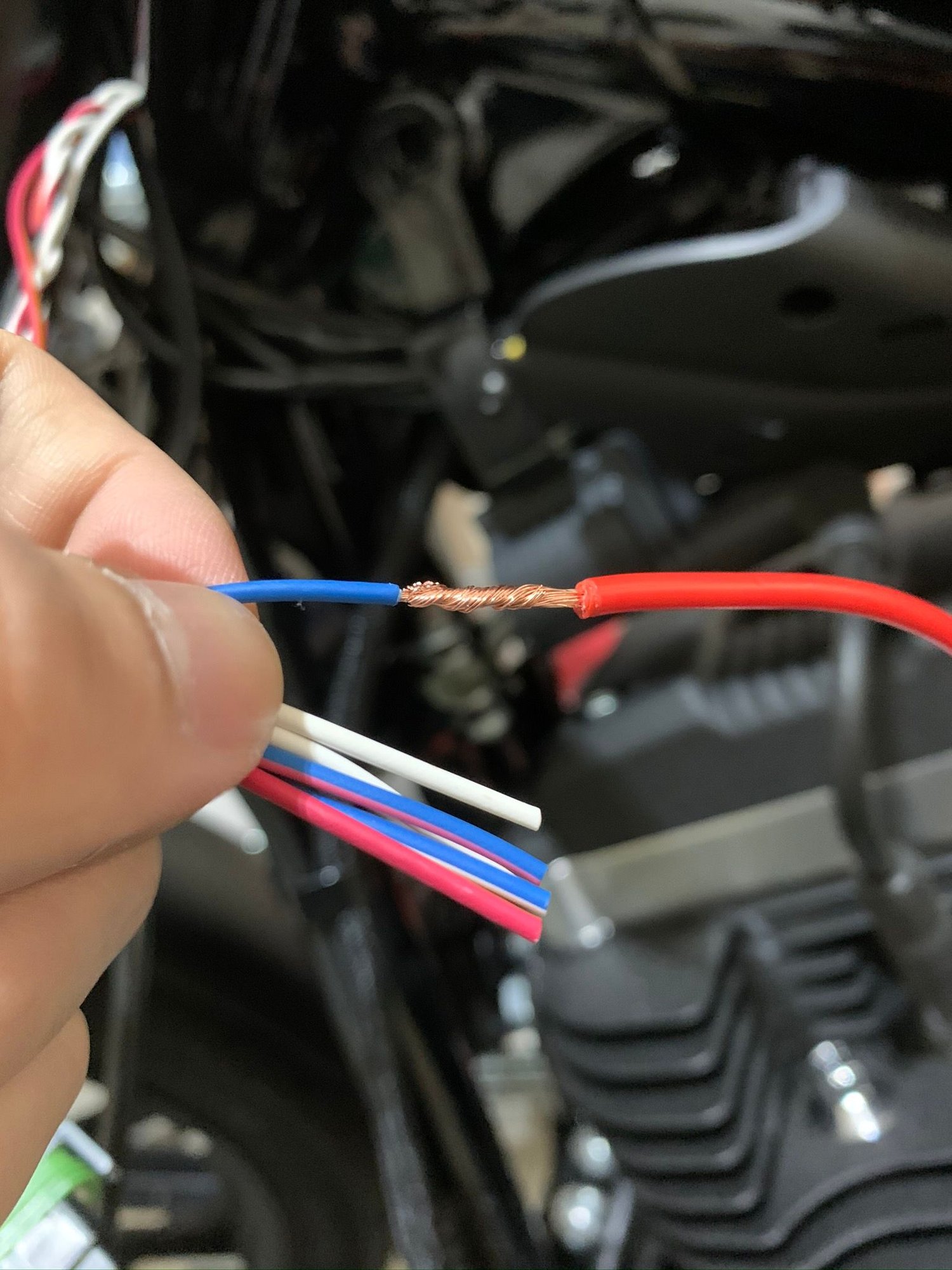 Help for Speedometer relocation on 2017 iron 883 Harley Davidson Forums