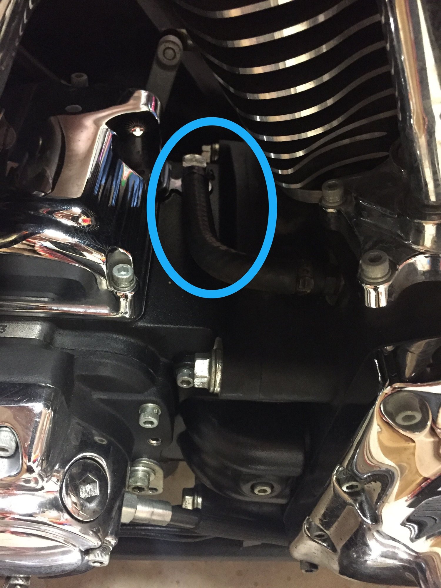 The Harley X West Leak: What You Need To Know - yxq9dci