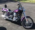 Bliss - My 2001 Dyna Wide Glide