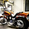 1994 Softail Custom  (FXSTC) 1340cc