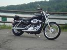 2005 Harley-Davidson XL 1200C Sportster