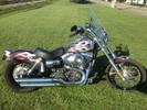 New paint set and add on's for my wife's Wide Glide