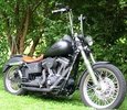 HOGRIDA'S HOG