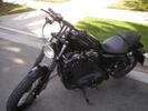 Nightster