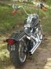 my softail custom