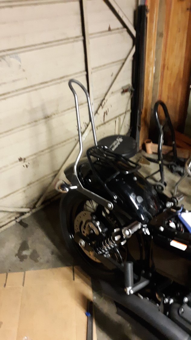 Sissy bar/fender rack combo? Harley Davidson Forums