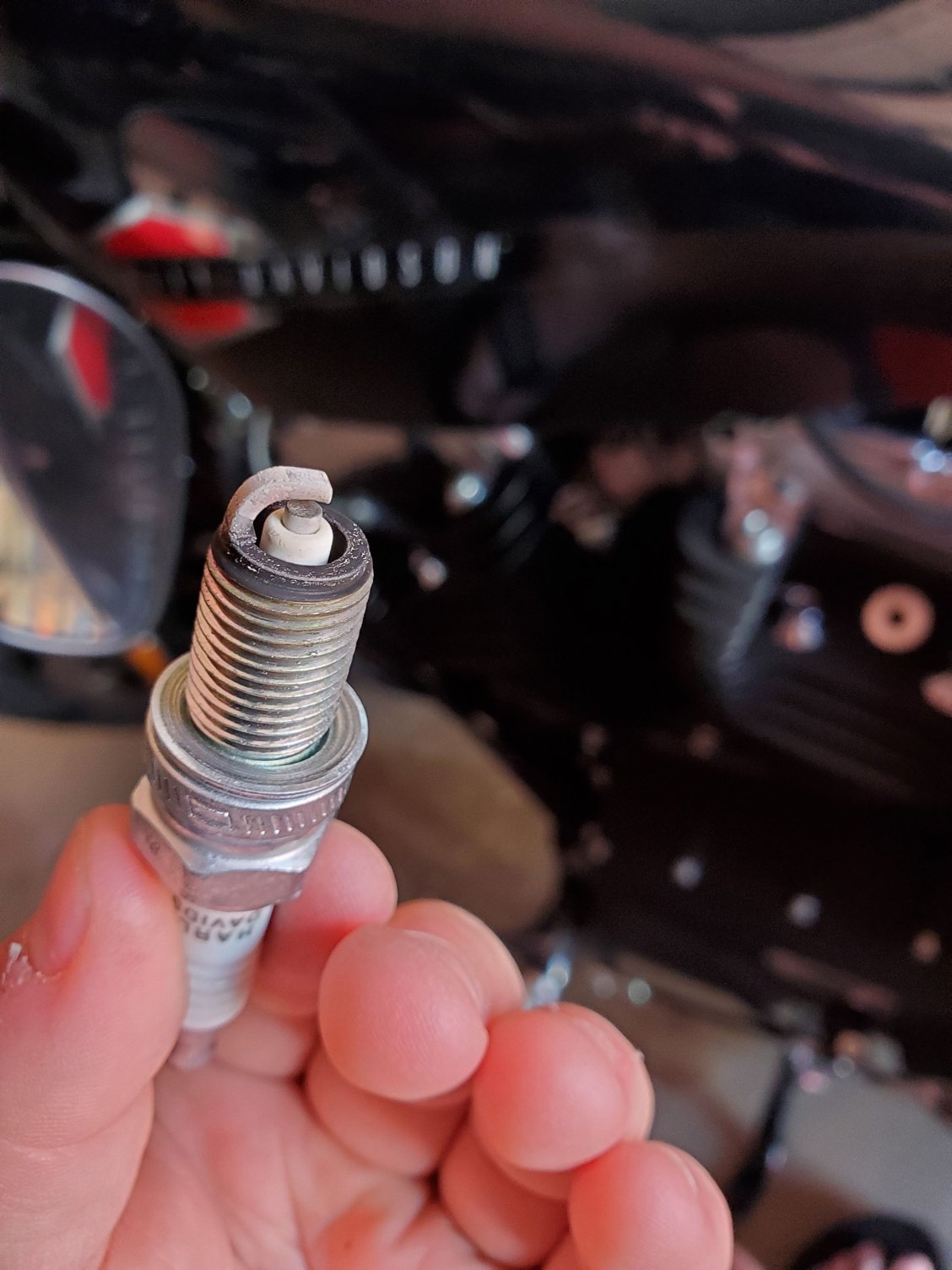 How do my spark plugs look? Harley Davidson Forums