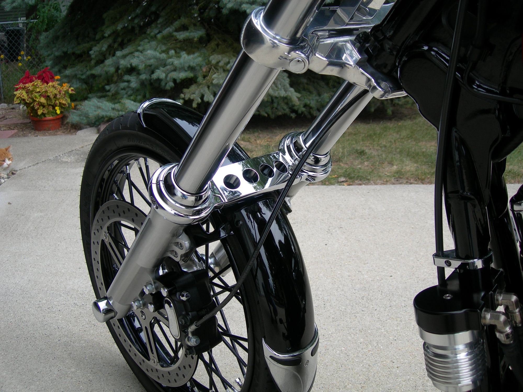 Let’s see your wide glide Fork Braces! Harley Davidson Forums