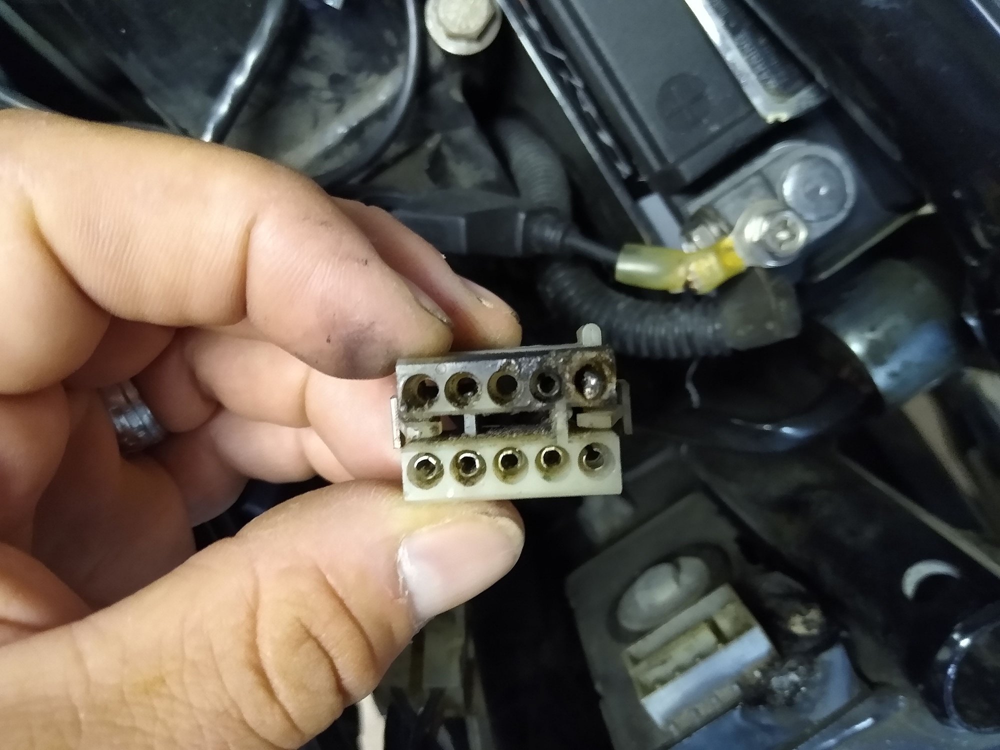 95 Dyna Low Rider ECM Harley Davidson Forums