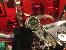 The script on the numbers and the lighting match the speedo exactly. 