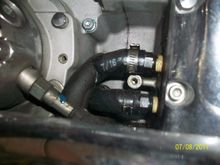 Top right hose HOT from engine routed outside of  cooler oil return to transmission